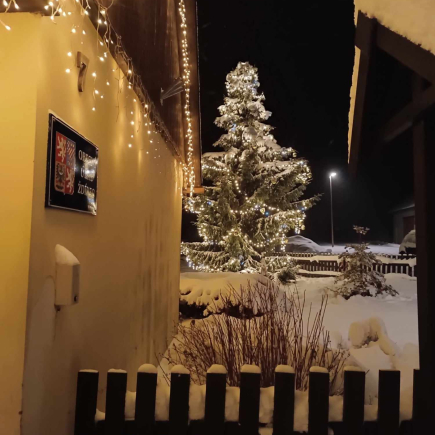 Rozsvěcení vánočního stromu 2023