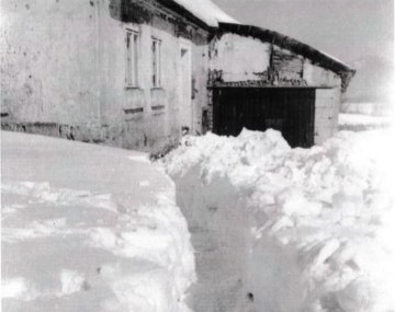 nový článek